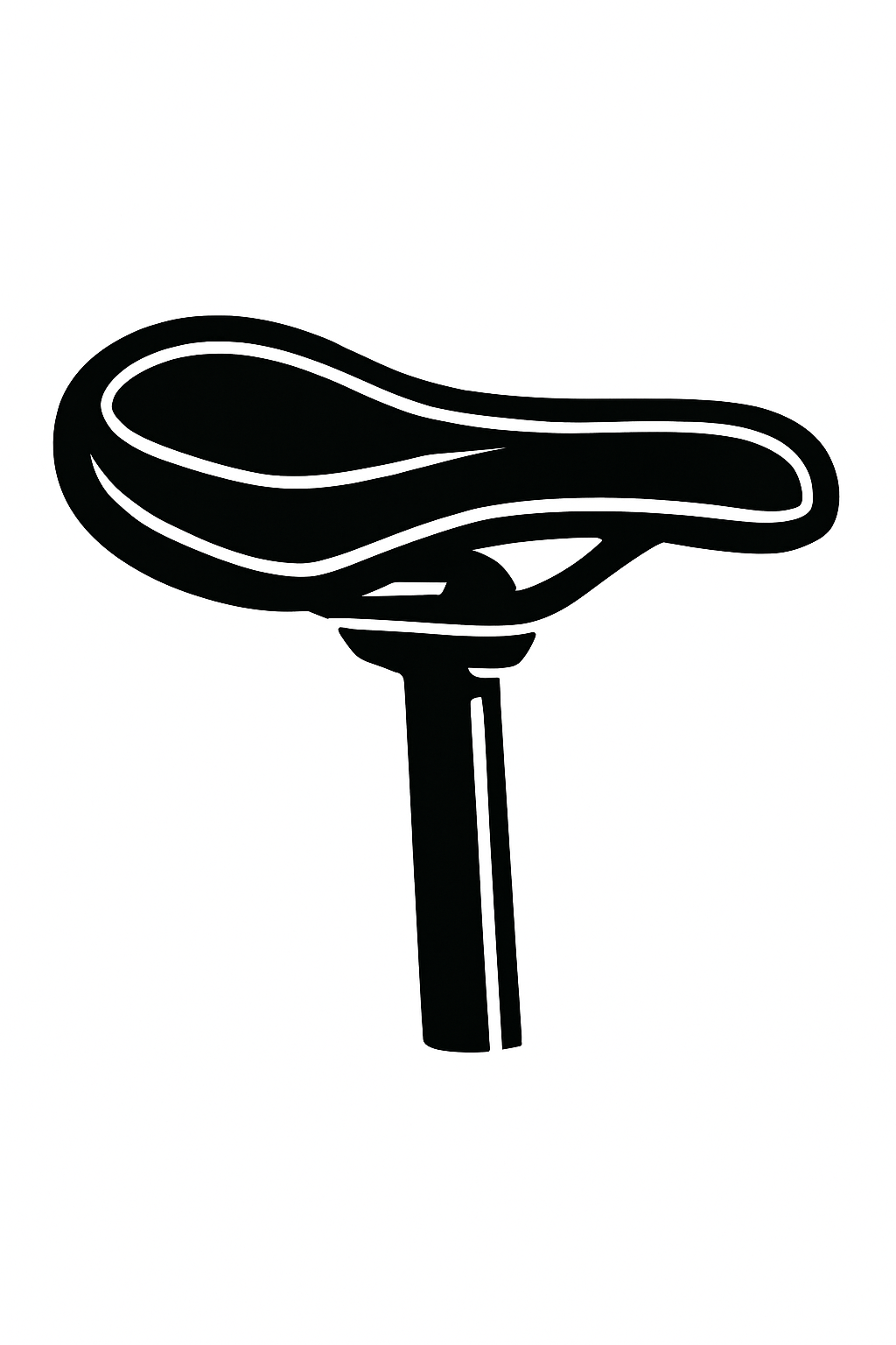 SADDLES
